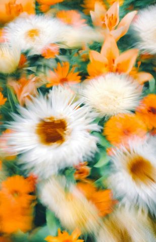 In Summer We Find Happiness